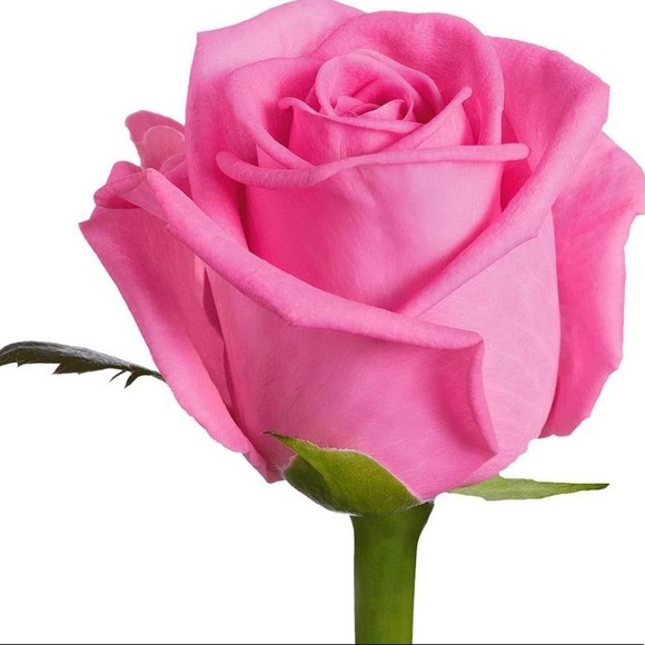 Meet your posher, Sara! - Picture 1 of 1